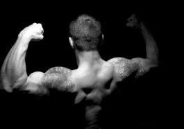 fitness supplements muscle