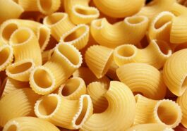 What is the largest amount of nutrients to build muscle from human body