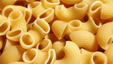 What is the largest amount of nutrients to build muscle from human body