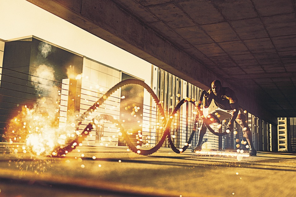 fitness gym strength training