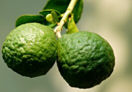 Amino acid to build muscle