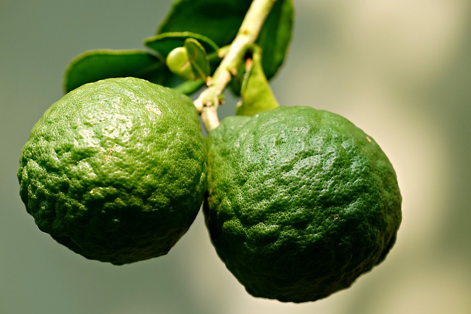 Amino acid to build muscle