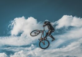 fitness gym cardio exercise