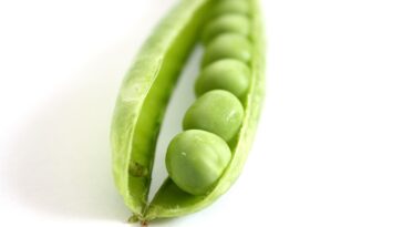 Celebrating Small Wins: How to Stay Motivated on Your Fitness and Diet Journey