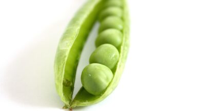 Celebrating Small Wins: How to Stay Motivated on Your Fitness and Diet Journey