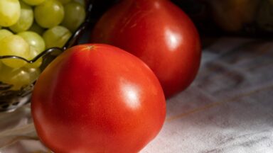 Nutrients Food for build muscle