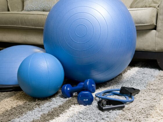 fitness gym programs