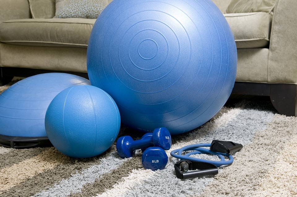 fitness gym programs