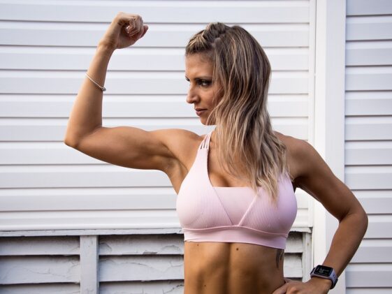 fitness gym programs muscle gain