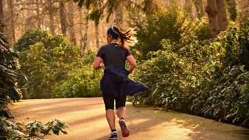 fitness gym cardio exercise