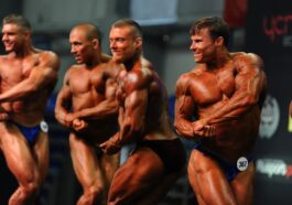 fitness gym programs muscle gain