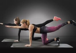 fitness gym programs