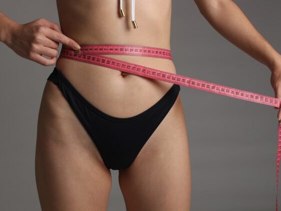 fitness gym programs weight loss