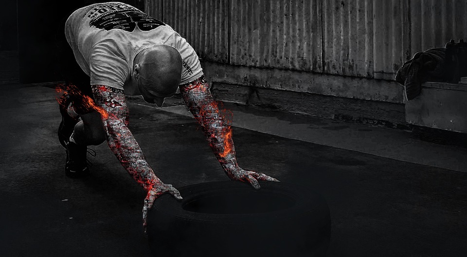 fitness gym strength training