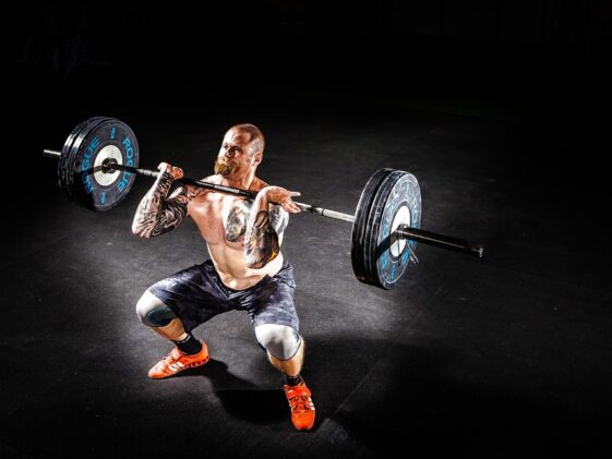 fitness gym programs