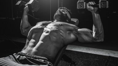 fitness gym programs muscle gain