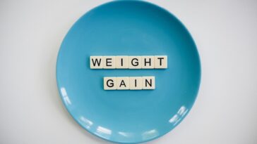 fitness gym programs muscle gain