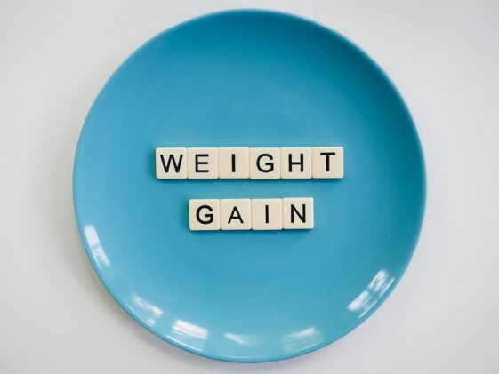 fitness gym programs muscle gain