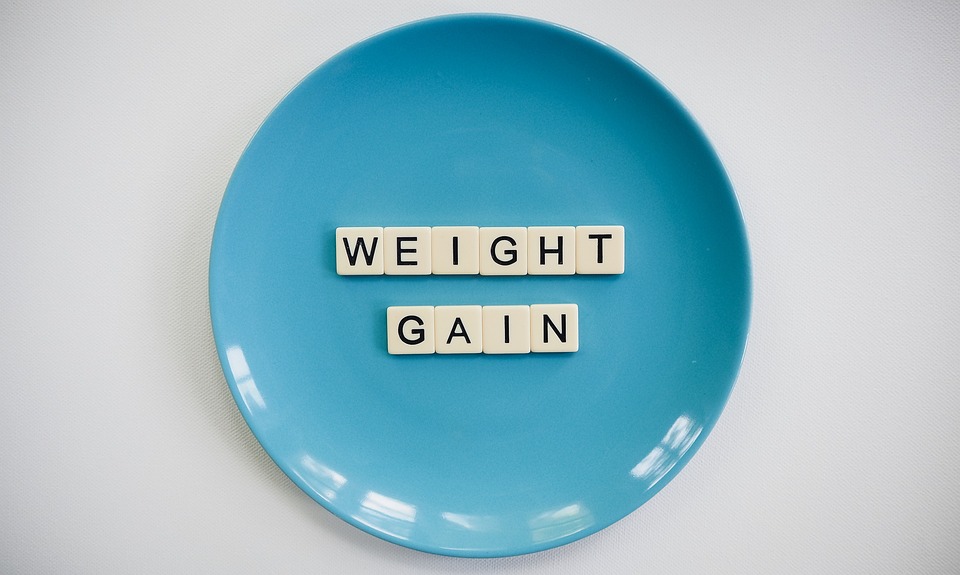 fitness gym programs muscle gain