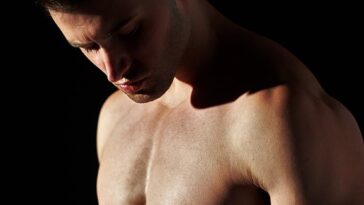 fitness gym programs muscle gain