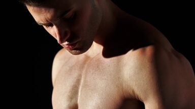 fitness gym programs muscle gain