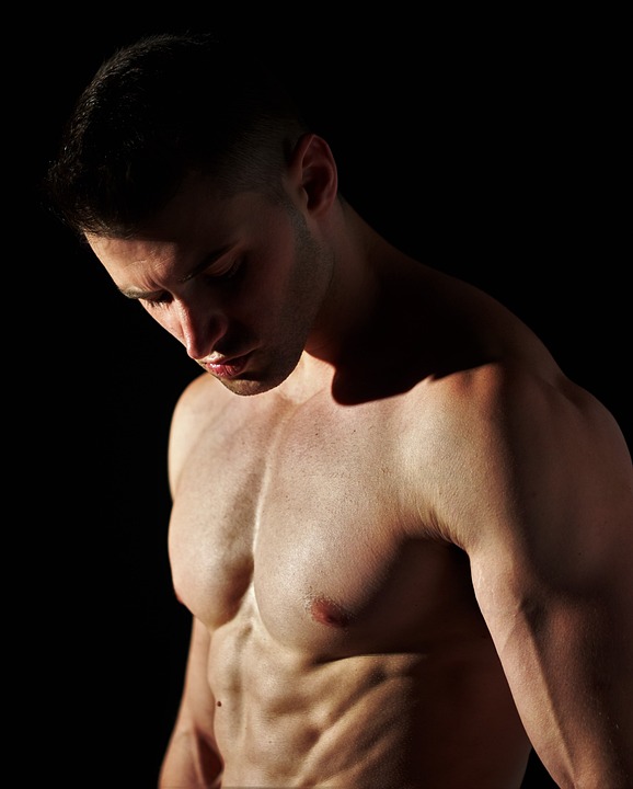 fitness gym programs muscle gain