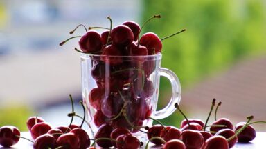 Supplements Vitamins