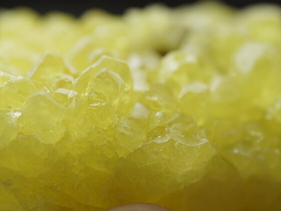 Minerals to build muscle