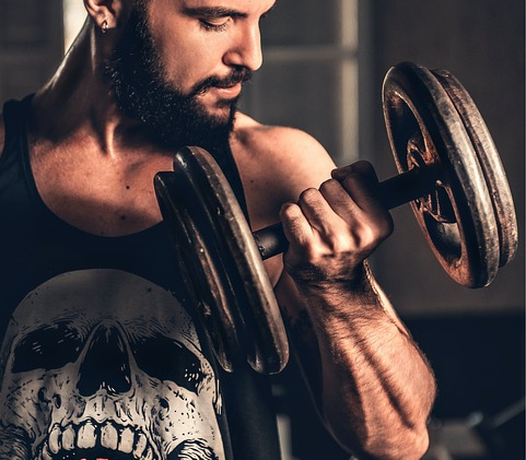 fitness gym strength training