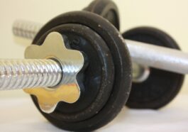 fitness gym programs