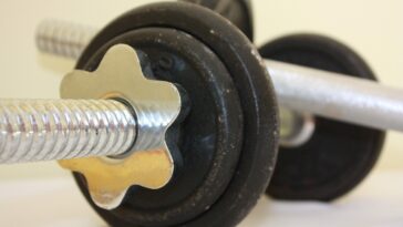 fitness gym programs