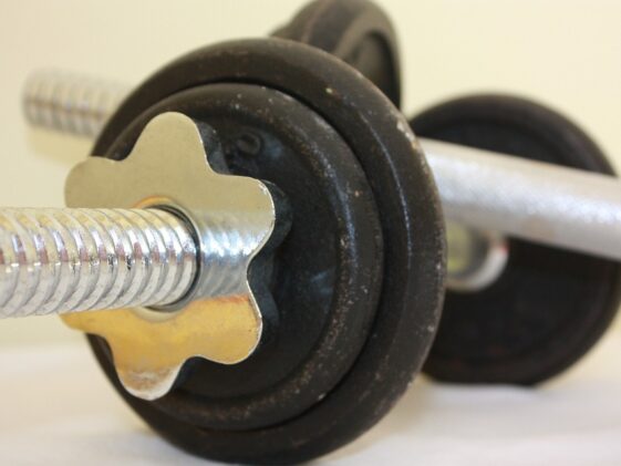 fitness gym programs