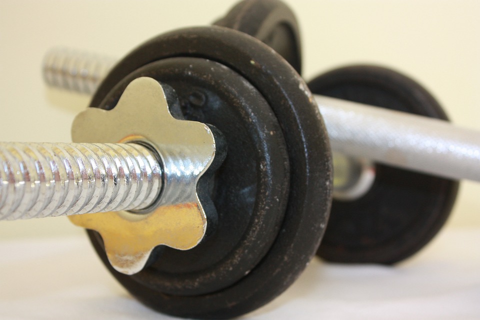 fitness gym programs