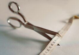 fitness gym programs weight loss