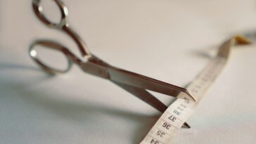 fitness gym programs weight loss