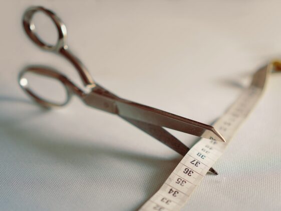 fitness gym programs weight loss