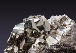 Minerals to build muscle