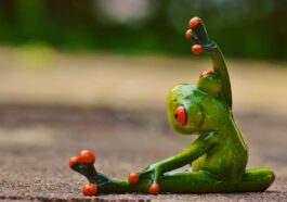 fitness gym strength training