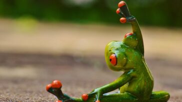 fitness gym strength training