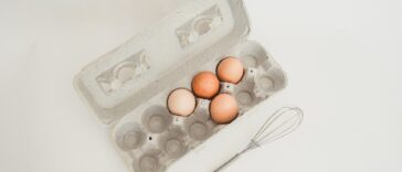 What is the largest amount of nutrients to build muscle from human body