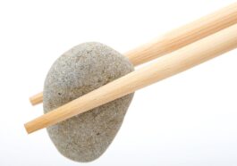 fitness gym programs muscle gain