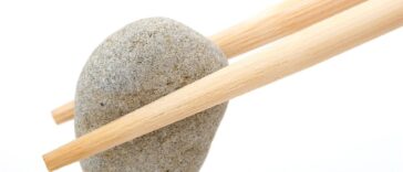 fitness gym programs muscle gain