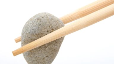 fitness gym programs muscle gain