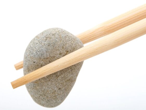 fitness gym programs muscle gain