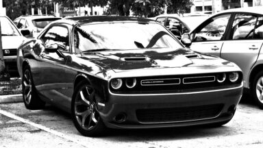 Supplements Muscle gain