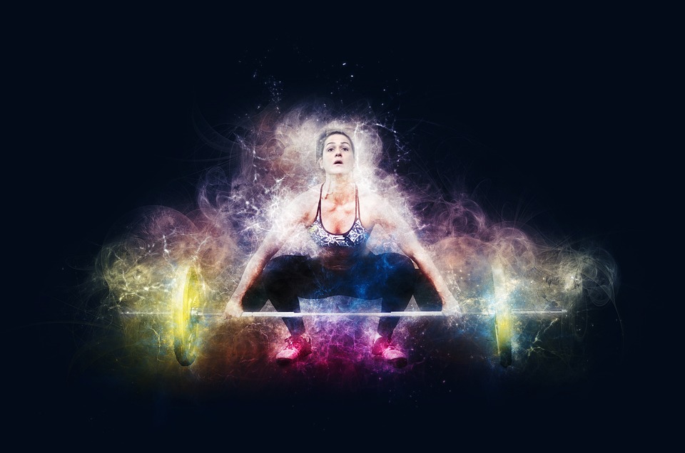 fitness gym strength training