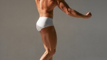 fitness gym programs muscle gain