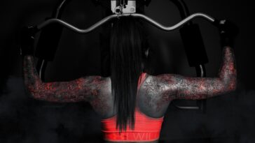 fitness gym programs muscle gain