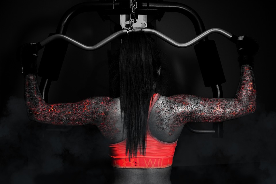 fitness gym programs muscle gain