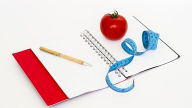 fitness gym programs weight loss